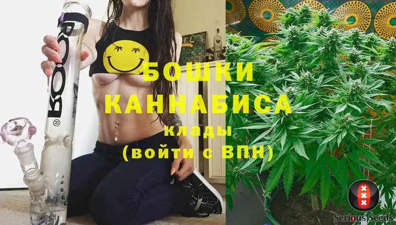 Конопля SATIVA & INDICA  Камышин 